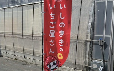 のぼりデザイン制作