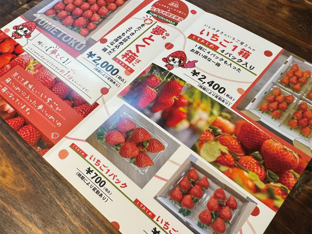 分かりやすさとデザイン性を両立した紙媒体のデザイン制作